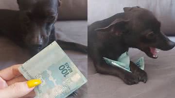 Reprodução/TikTok @luaana76