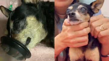 Reprodução/Instagram @mariapaulaferrari