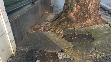 Reprodução/Arquivo Pessoal