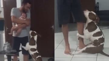 Reprodução/TikTok @naylavinhas