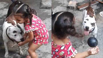 Reprodução/TikTok @meninas_pitbull