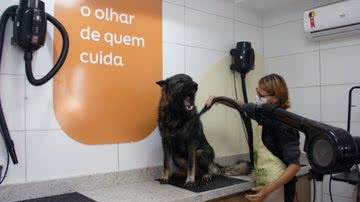 Divulgação