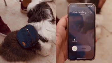 Reprodução/Instagram @gtozetti