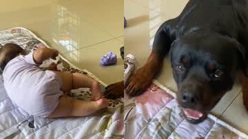 Reprodução/TikTok @scar.simba