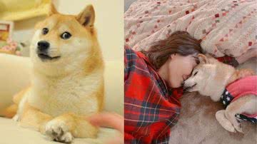 Divulgação/Redes Sociais