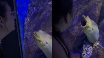 Reprodução/TikTok @isabiancarelli