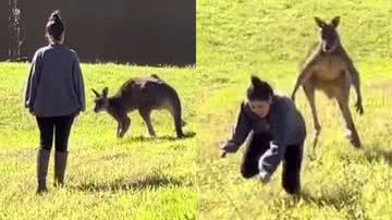 Reprodução/Redes Sociais