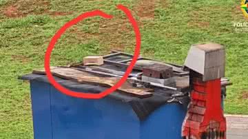 Reprodução/ Redes sociais