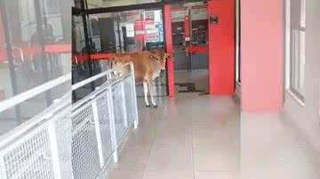 Reprodução/Facebook/Zácari Wilson