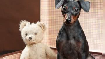 Karl Sommerbauer por Pixabay