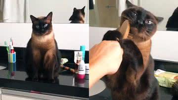 Reprodução/TikTok @girispoli