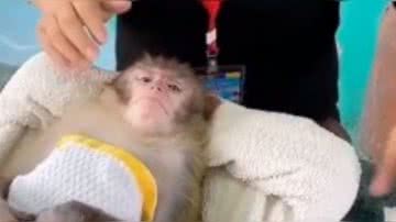 Reprodução/ Vídeo