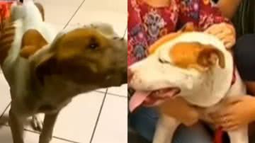 Reprodução/ Vídeo