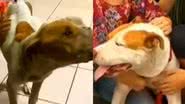 Reprodução/ Vídeo