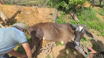 Divulgação / Corpo de Bombeiros