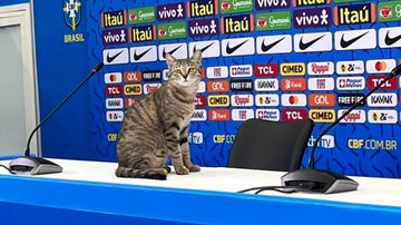 Reprodução/Twitter - @rmagatti