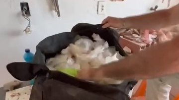 Reprodução Vídeo