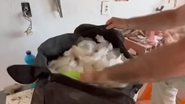 Reprodução Vídeo