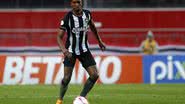 Vitor Silva/Botafogo