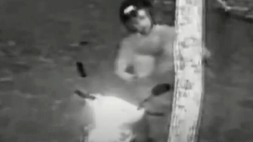 Reprodução/Metrópoles