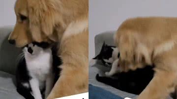 Reprodução/Instagram @fredgato_