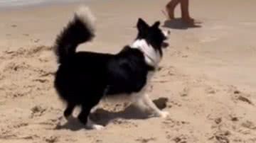 Reprodução/RedesSociais