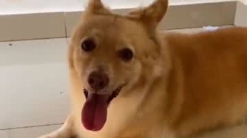 Reprodução/RedesSociais