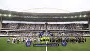 Vítor Silva/Botafogo