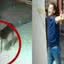 Momento em que cachorro desaparecido reencontra família viraliza pela reação de tutores\u003B assista