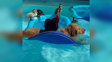 Reprodução/TikTok @omundodaeight