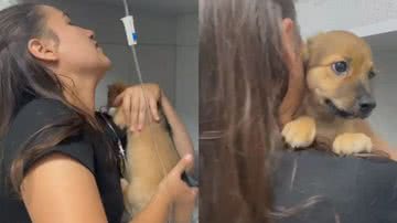 Reprodução/TikTok @lanysilm