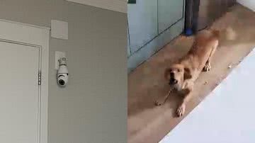 Reprodução/TikTok @gabyduartem_