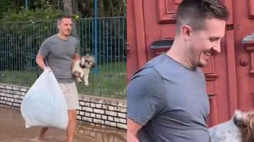 Reprodução/TikTok @apaixonadosporshihtzu