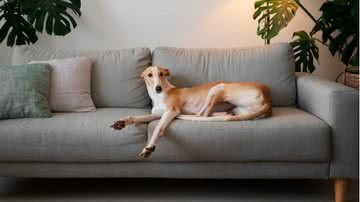 Ilustrativa / Freepik