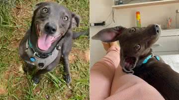 Reprodução / Redes Sociais