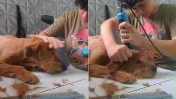 Reprodução / Redes Sociais