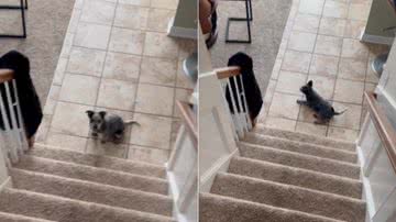 Reprodução / Instagram @pubity