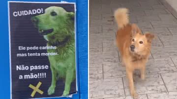 Reprodução / Instagram