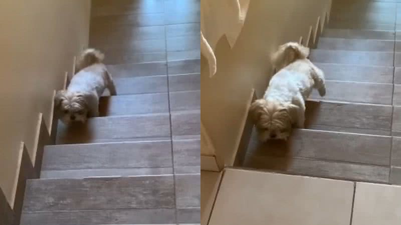 Reprodução/TikTok @oliveira.cris
