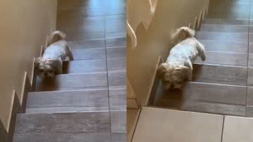 Reprodução/TikTok @oliveira.cris