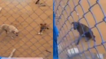 Reprodução/Instagram @deputadomarcellmoraes