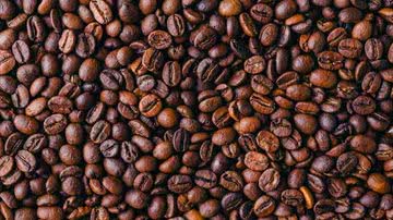 Divulgação / Freepik