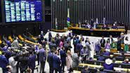 Zeca Ribeiro / Câmara dos Deputados