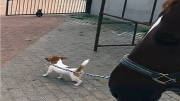 Reprodução Redes sociais