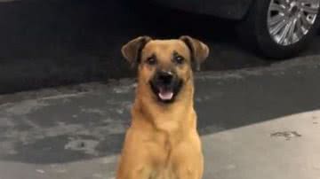 Reprodução/RedesSociais