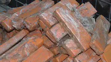 Reprodução/TV Anhanguera GO