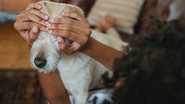 Reprodução/Pexels