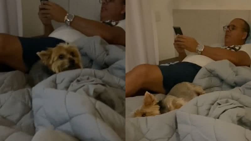 Reprodução// TikTok @_juliabmunizz