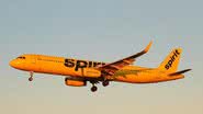 Reprodução/Instagram @spiritairlines