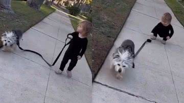 Reprodução/TikTok @belinha_pitmonster